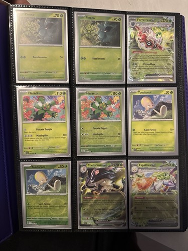 Set completo pokemon destino