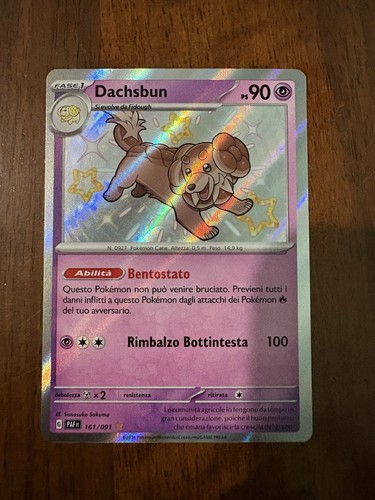 Carte pokémon dachsbun - pokémon,
